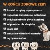 QCHEFS Cheesies do higieny jamy ustnej Przysmaki dentystyczne dla psa